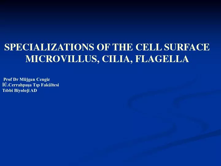 SPECIALIZATIONS OF THE CELL SURFACE
