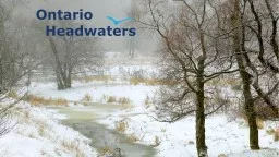 Headwaters in the