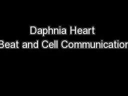 Daphnia Heart Beat and Cell Communication
