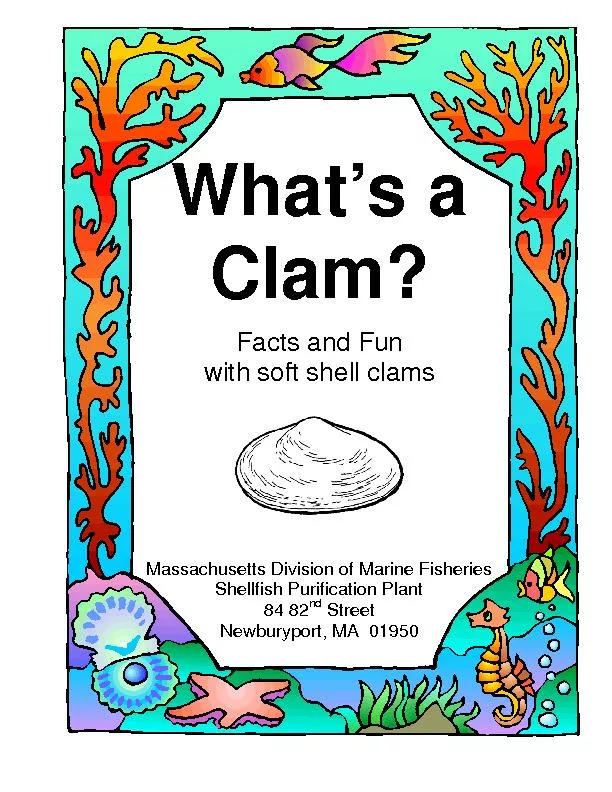 Clam?Facts and Funith soft shell clams