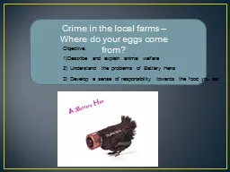 Crime in the local farms – Where do your eggs come from?