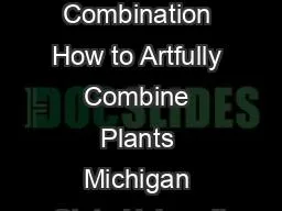 Captivating Combination How to Artfully Combine Plants Michigan State Universit