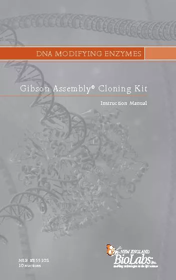 ibson Assembly Cloning Kit10 reactions