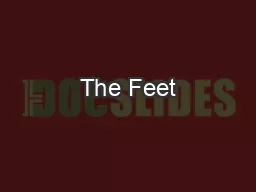 The Feet