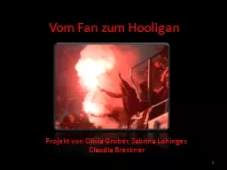 Vom Fan zum Hooligan