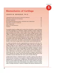 Biomechanics of Cartilage JOSEPH M