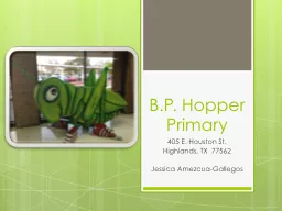 B.P. Hopper Primary