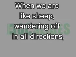When we are like sheep, wandering off in all directions,