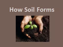 How Soil Forms