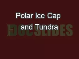Polar Ice Cap and Tundra