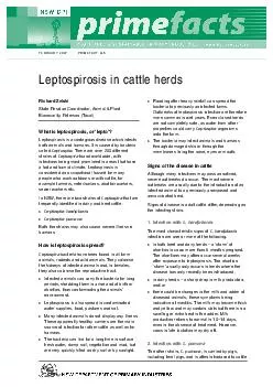 FEBRUARY  PRIMEFACT  Leptospirosis in cattle herds Ric