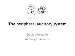The peripheral auditory system