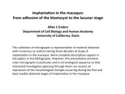 Implantation in the macaque: