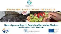 REDUCING FISH LOSSES IN AFRICA