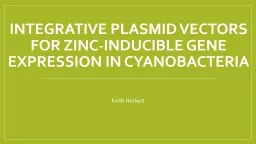 Integrative plasmid vectors for zinc-inducible gene express