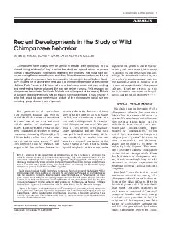 ARTICLES Recent Developments in the Study of Wild Chim