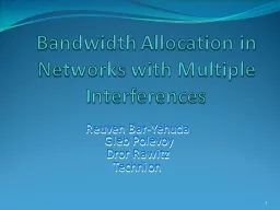 Bandwidth Allocation in Networks with Multiple Interference