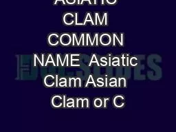 ASIATIC CLAM COMMON NAME  Asiatic Clam Asian Clam or C