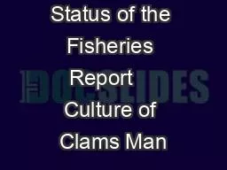 Status of the Fisheries Report    Culture of Clams Man