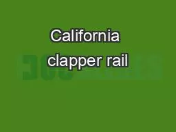 California clapper rail