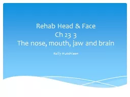 Rehab Head & Face