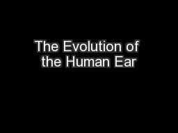 The Evolution of the Human Ear