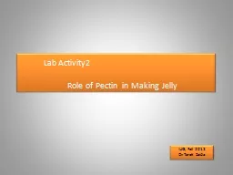 Lab Activity2