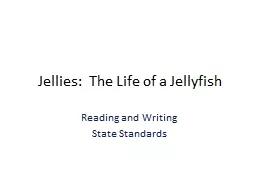 Jellies:  The Life of a Jellyfish