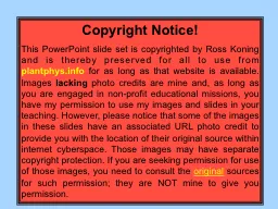 Copyright Notice!