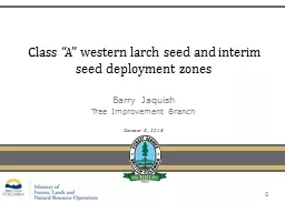 Class “A” western larch seed and interim seed deploymen
