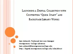 Launching a Digital Collection with