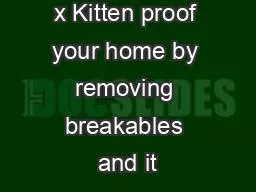 x Kitten proof your home by removing breakables and it