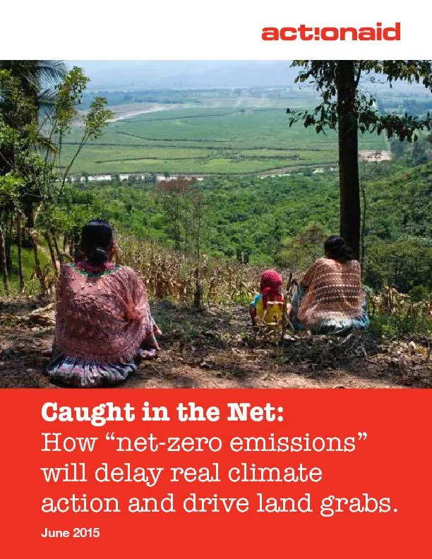 Caught in the Net: How “net-zero emissions” will delay real