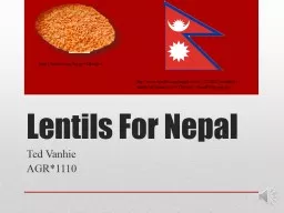 Lentils For Nepal