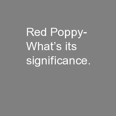 Red Poppy- What’s its significance.
