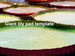 Giant lily pad template