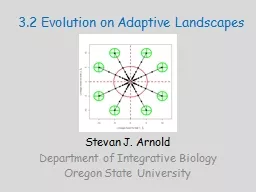 3.2 Evolution on Adaptive Landscapes