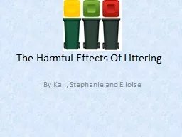 The Harmful Effects Of Littering