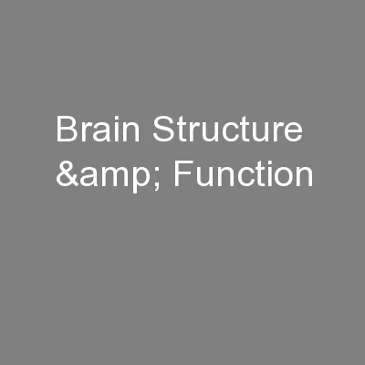 Brain Structure & Function