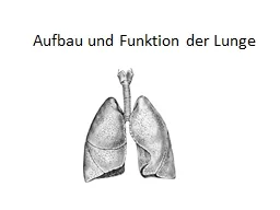 Aufbau und Funktion der Lunge