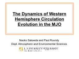 The Dynamics of Western Hemisphere Circulation Evolution in