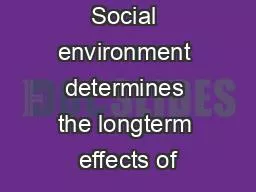 Social environment determines the longterm effects of