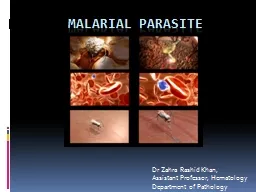 MALARIAL PARASITE