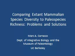 Comparing Extant Mammalian Species Diversity to