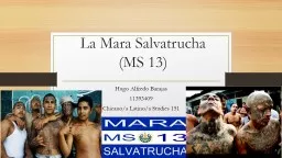La Mara Salvatrucha