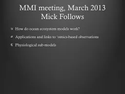 MMI meeting, March 2013