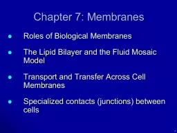 Chapter 7: Membranes