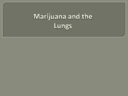 Marijuana and the Lungs