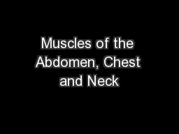 Muscles of the Abdomen, Chest and Neck