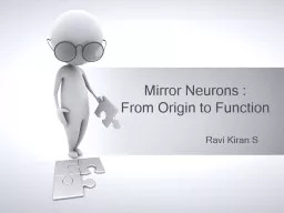 Mirror Neurons :